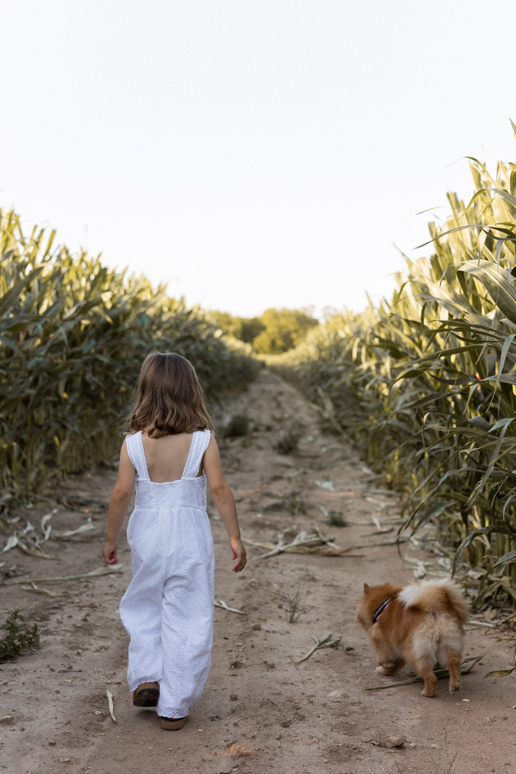 Seancefamille_MarionL_Juillet2023CharleneRaguesPhotographe-17